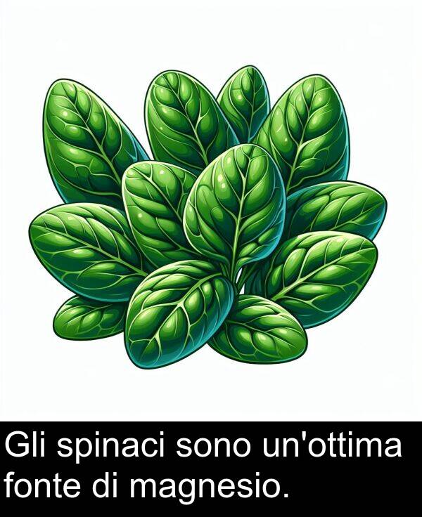 spinaci: Gli spinaci sono un'ottima fonte di magnesio.