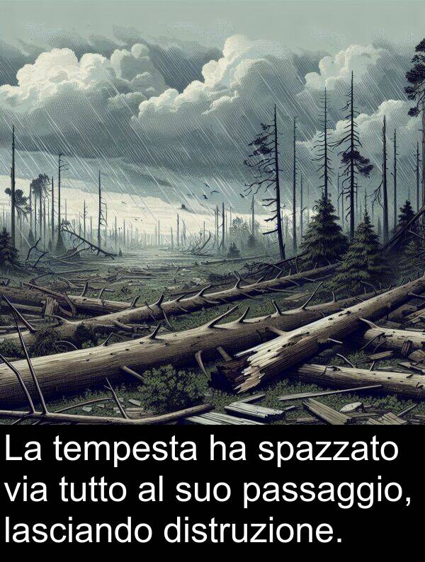 passaggio: La tempesta ha spazzato via tutto al suo passaggio, lasciando distruzione.