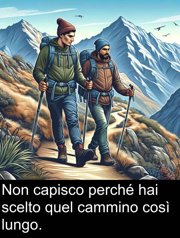 quel: Non capisco perché hai scelto quel cammino così lungo.