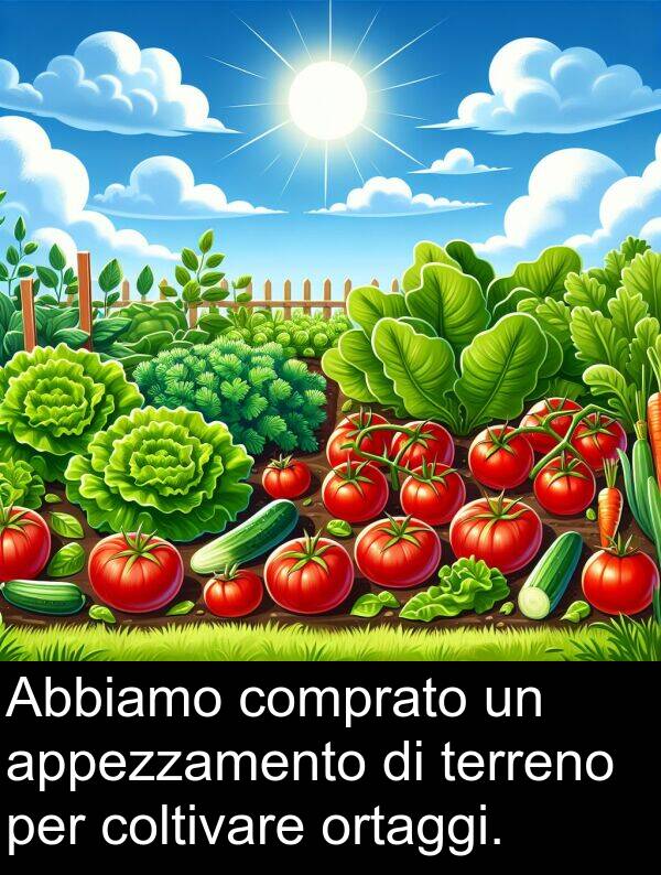 coltivare: Abbiamo comprato un appezzamento di terreno per coltivare ortaggi.