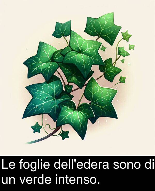 verde: Le foglie dell'edera sono di un verde intenso.
