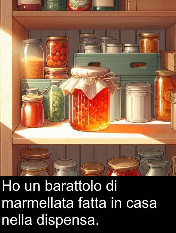 dispensa: Ho un barattolo di marmellata fatta in casa nella dispensa.