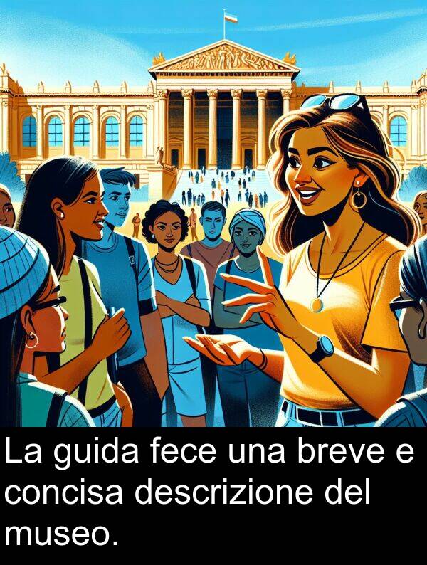 breve: La guida fece una breve e concisa descrizione del museo.