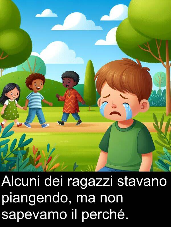 piangendo: Alcuni dei ragazzi stavano piangendo, ma non sapevamo il perché.