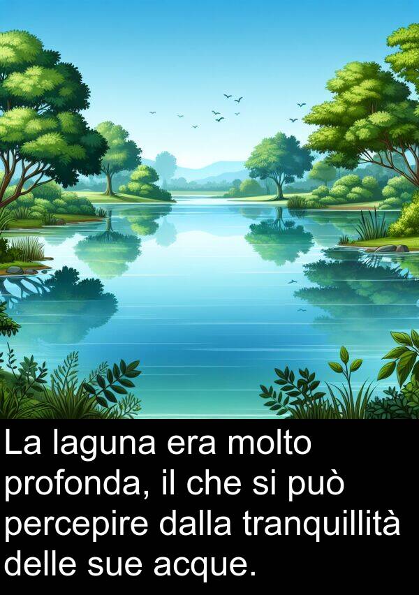 laguna: La laguna era molto profonda, il che si può percepire dalla tranquillità delle sue acque.