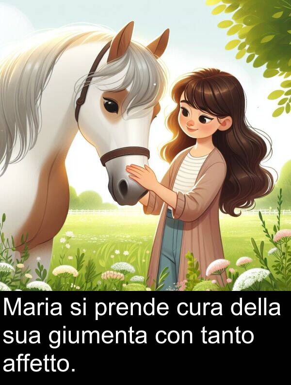 giumenta: Maria si prende cura della sua giumenta con tanto affetto.