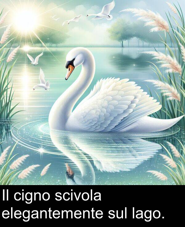lago: Il cigno scivola elegantemente sul lago.