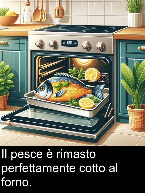 rimasto: Il pesce è rimasto perfettamente cotto al forno.