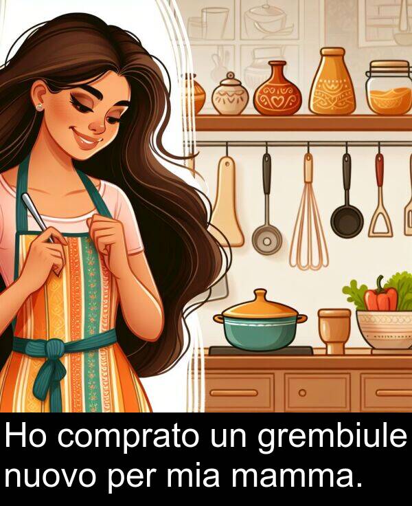 comprato: Ho comprato un grembiule nuovo per mia mamma.