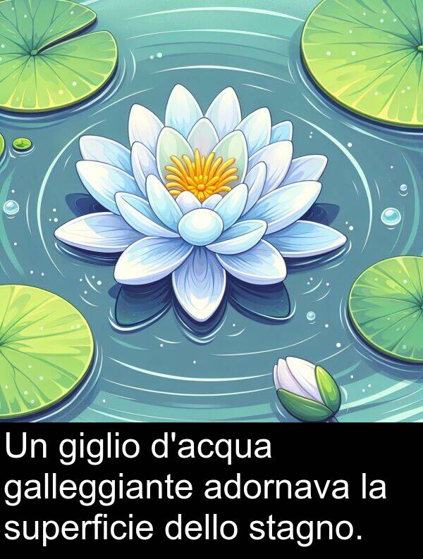 superficie: Un giglio d'acqua galleggiante adornava la superficie dello stagno.