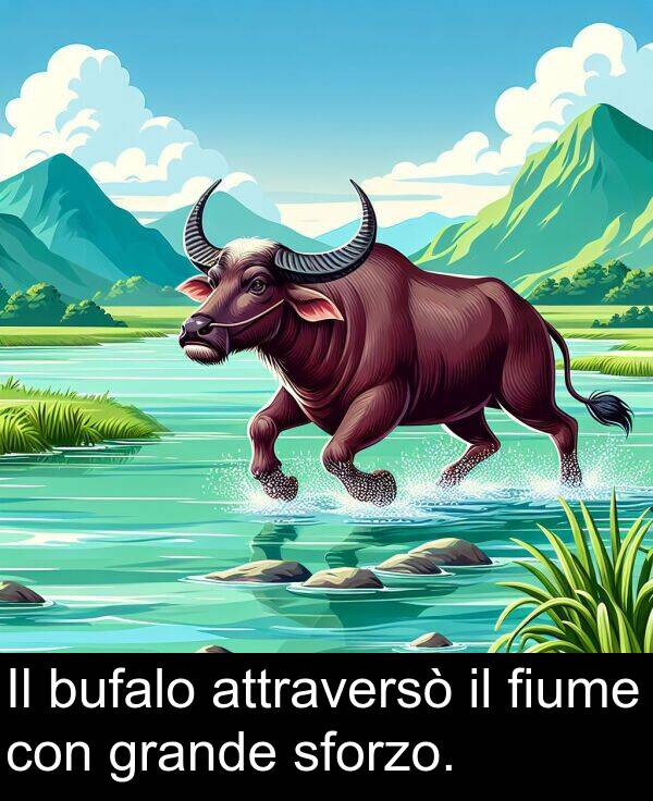 grande: Il bufalo attraversò il fiume con grande sforzo.