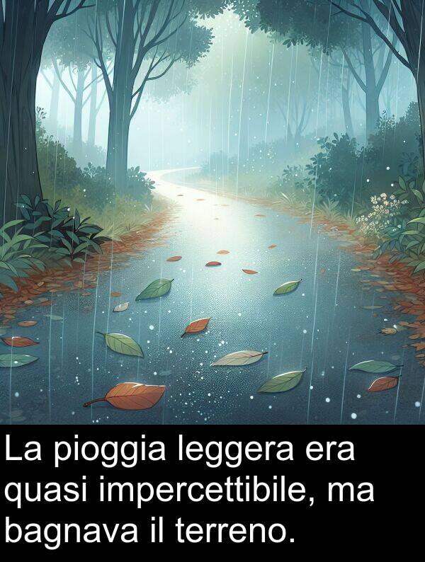 bagnava: La pioggia leggera era quasi impercettibile, ma bagnava il terreno.