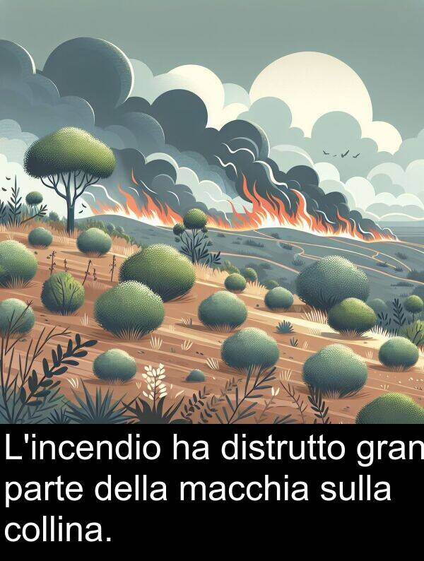 macchia: L'incendio ha distrutto gran parte della macchia sulla collina.