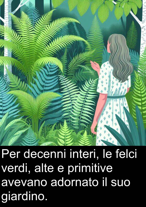 felci: Per decenni interi, le felci verdi, alte e primitive avevano adornato il suo giardino.