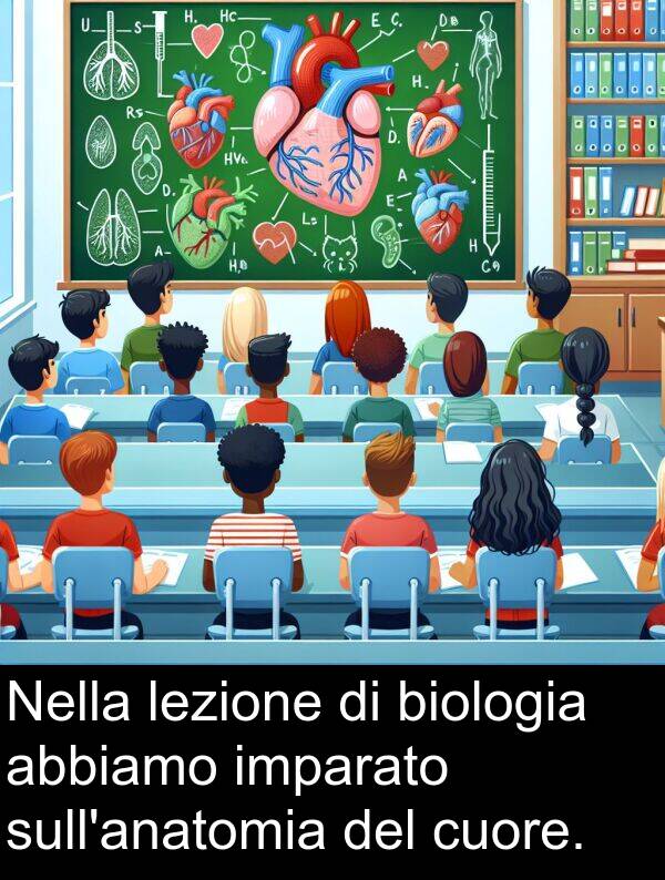 abbiamo: Nella lezione di biologia abbiamo imparato sull'anatomia del cuore.