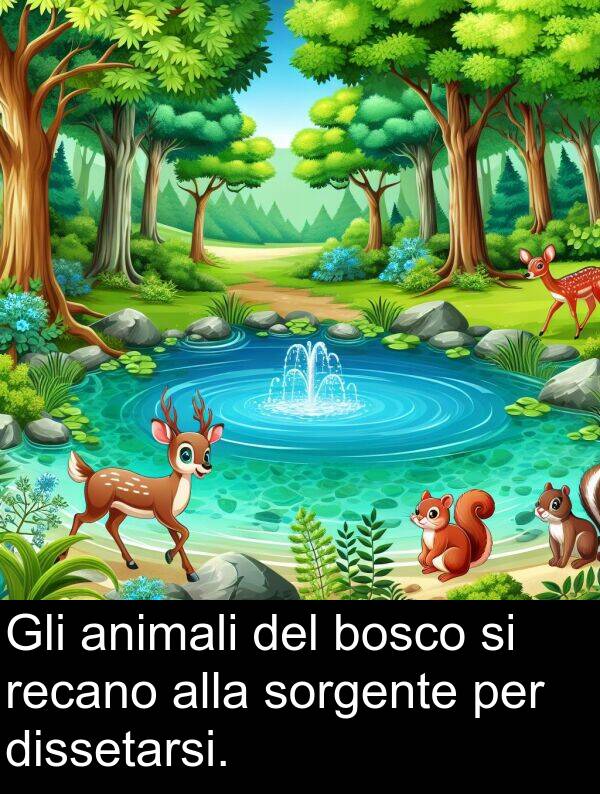 recano: Gli animali del bosco si recano alla sorgente per dissetarsi.