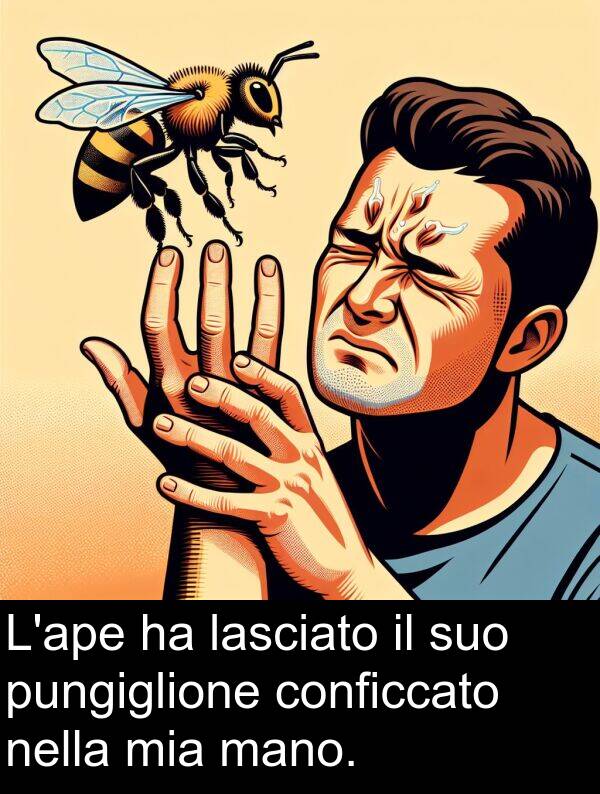 conficcato: L'ape ha lasciato il suo pungiglione conficcato nella mia mano.