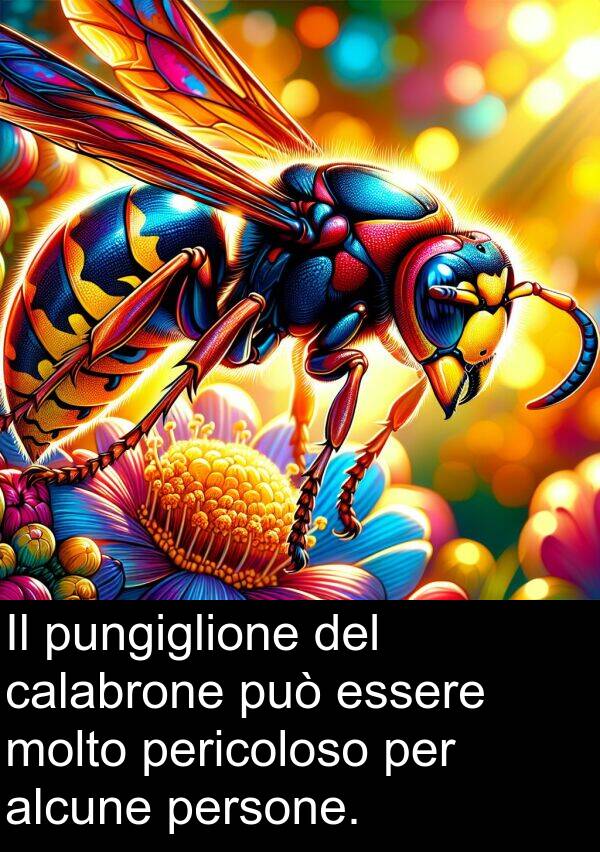 calabrone: Il pungiglione del calabrone può essere molto pericoloso per alcune persone.