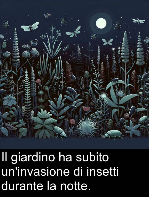 giardino: Il giardino ha subito un'invasione di insetti durante la notte.