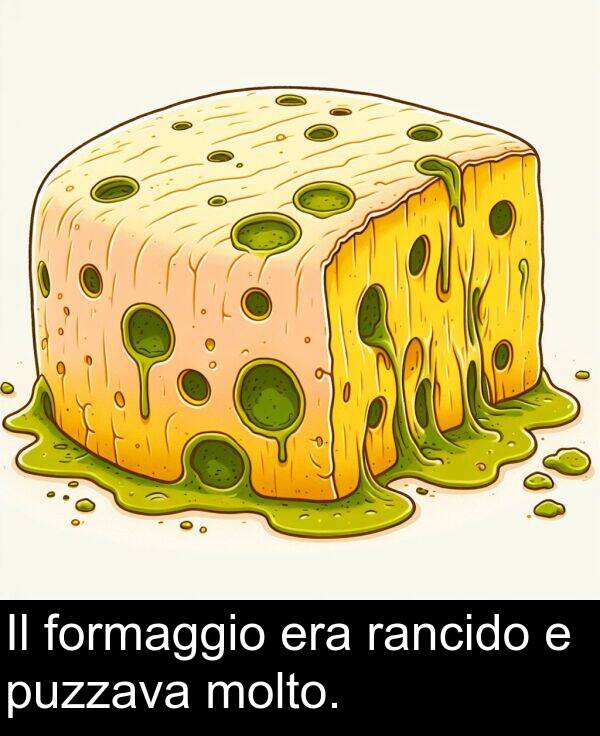 rancido: Il formaggio era rancido e puzzava molto.