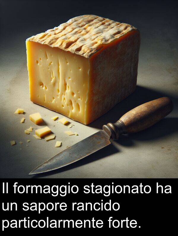 rancido: Il formaggio stagionato ha un sapore rancido particolarmente forte.