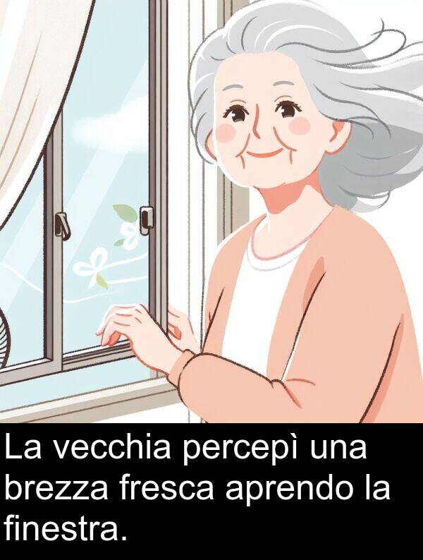 finestra: La vecchia percepì una brezza fresca aprendo la finestra.