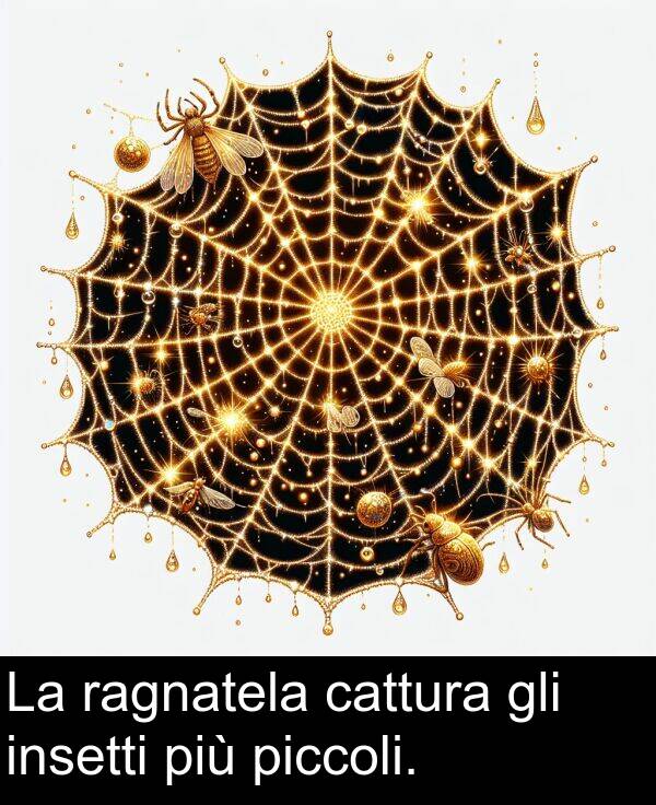 ragnatela: La ragnatela cattura gli insetti più piccoli.