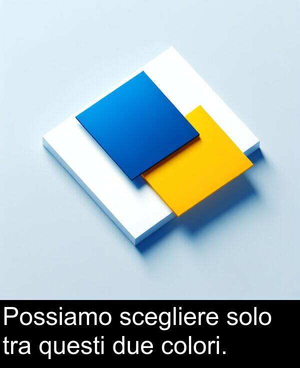 colori: Possiamo scegliere solo tra questi due colori.