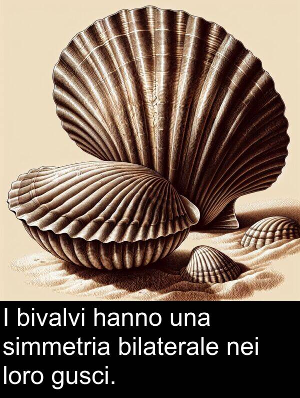 loro: I bivalvi hanno una simmetria bilaterale nei loro gusci.