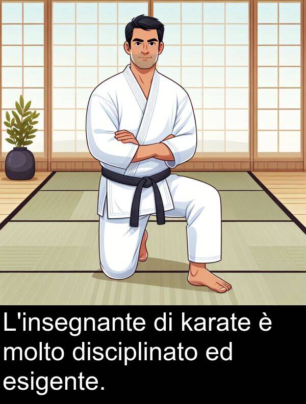 esigente: L'insegnante di karate è molto disciplinato ed esigente.
