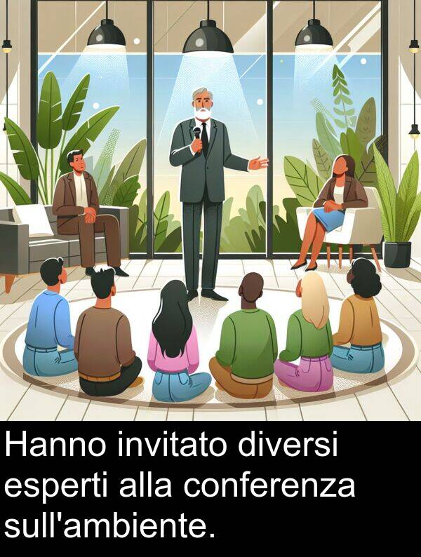 conferenza: Hanno invitato diversi esperti alla conferenza sull'ambiente.