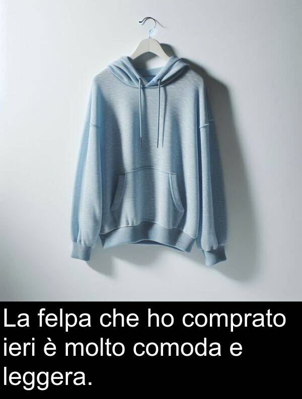 felpa: La felpa che ho comprato ieri è molto comoda e leggera.