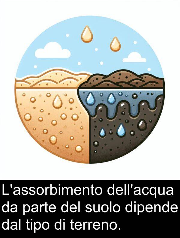parte: L'assorbimento dell'acqua da parte del suolo dipende dal tipo di terreno.