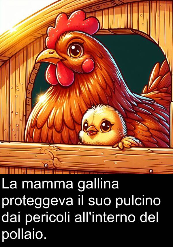 pericoli: La mamma gallina proteggeva il suo pulcino dai pericoli all'interno del pollaio.