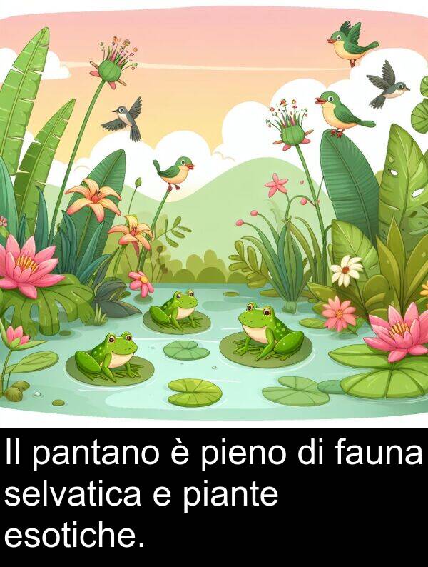 pantano: Il pantano è pieno di fauna selvatica e piante esotiche.
