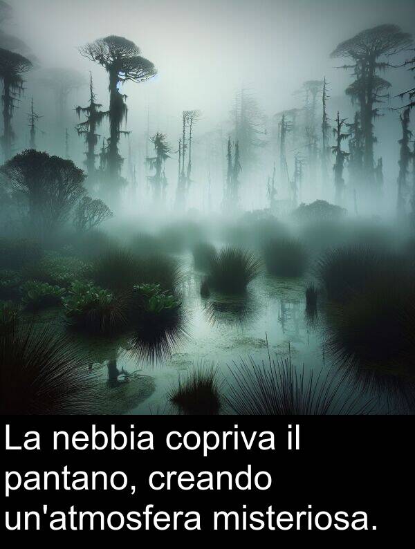 pantano: La nebbia copriva il pantano, creando un'atmosfera misteriosa.