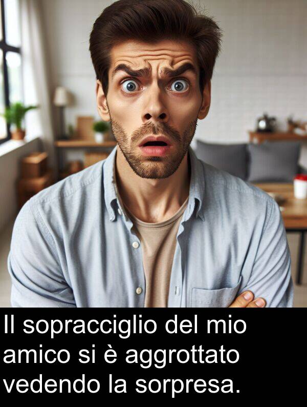 sopracciglio: Il sopracciglio del mio amico si è aggrottato vedendo la sorpresa.