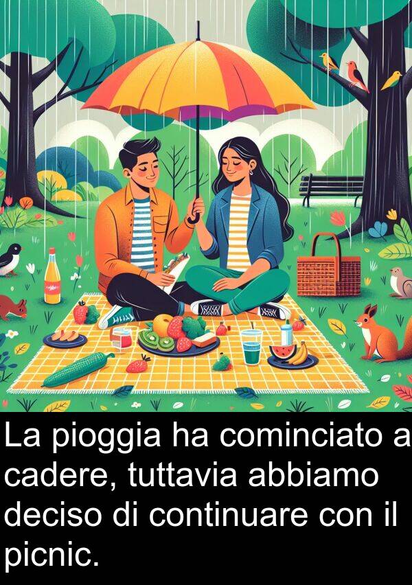 deciso: La pioggia ha cominciato a cadere, tuttavia abbiamo deciso di continuare con il picnic.