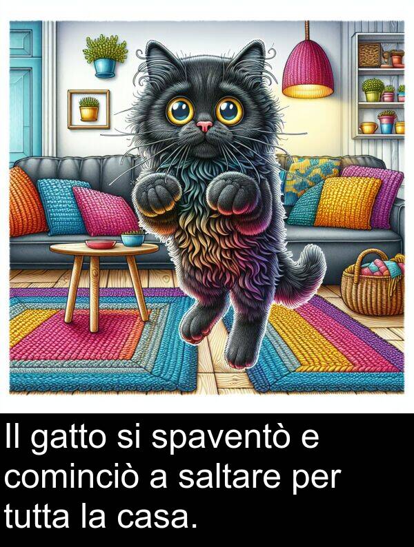 gatto: Il gatto si spaventò e cominciò a saltare per tutta la casa.