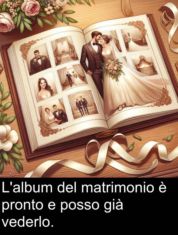 vederlo: L'album del matrimonio è pronto e posso già vederlo.