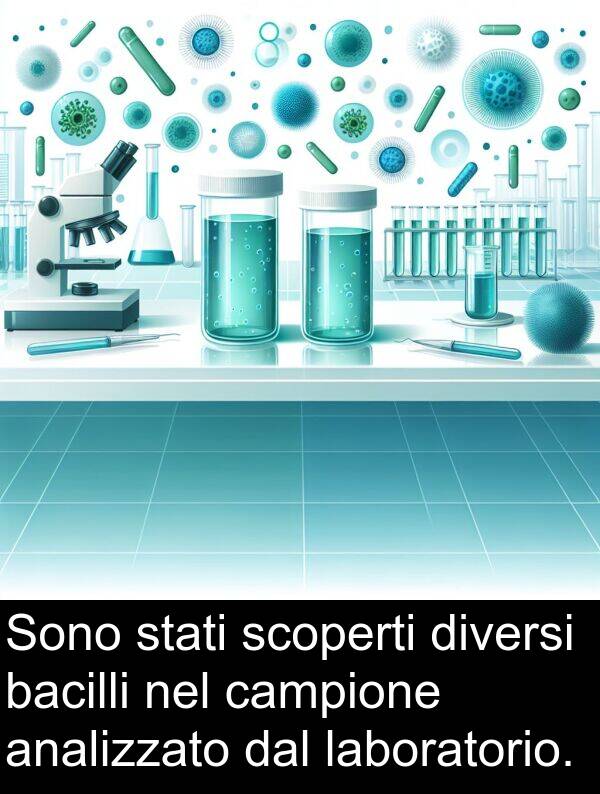 laboratorio: Sono stati scoperti diversi bacilli nel campione analizzato dal laboratorio.
