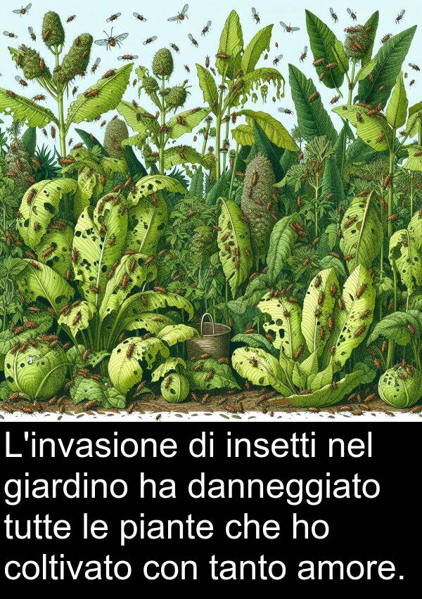 tutte: L'invasione di insetti nel giardino ha danneggiato tutte le piante che ho coltivato con tanto amore.