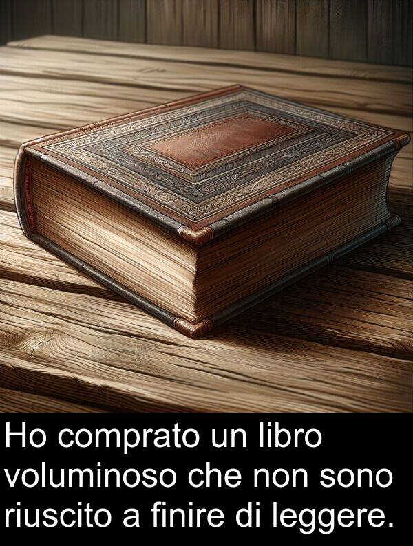 riuscito: Ho comprato un libro voluminoso che non sono riuscito a finire di leggere.