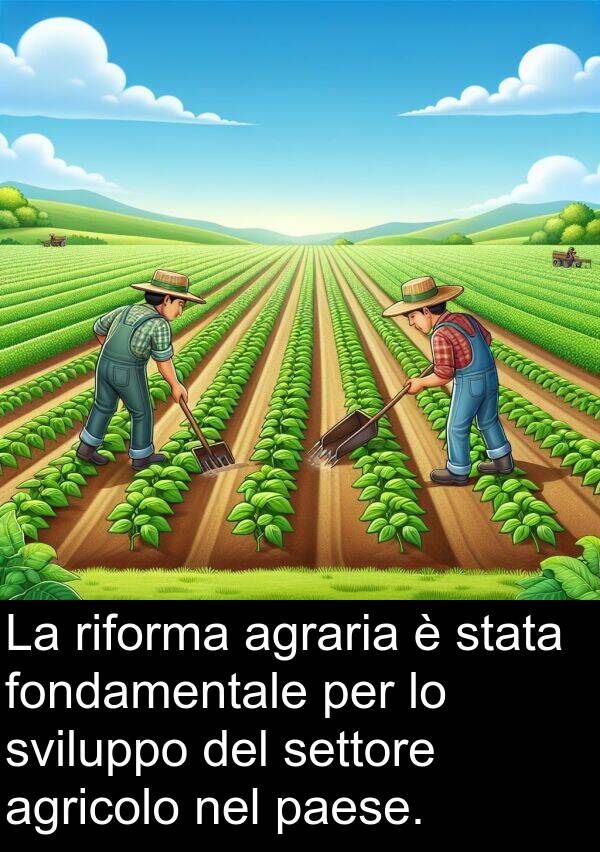 riforma: La riforma agraria è stata fondamentale per lo sviluppo del settore agricolo nel paese.