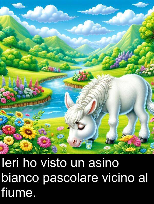 bianco: Ieri ho visto un asino bianco pascolare vicino al fiume.
