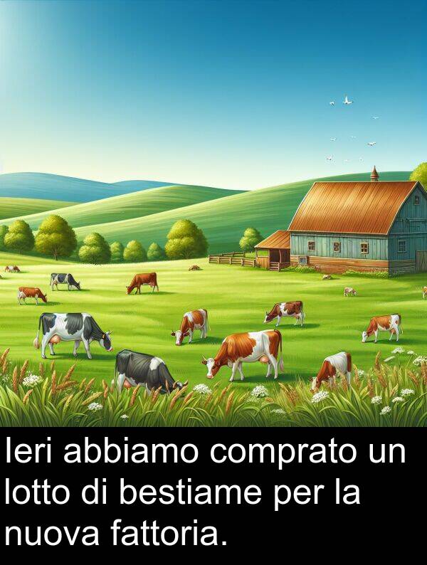 lotto: Ieri abbiamo comprato un lotto di bestiame per la nuova fattoria.