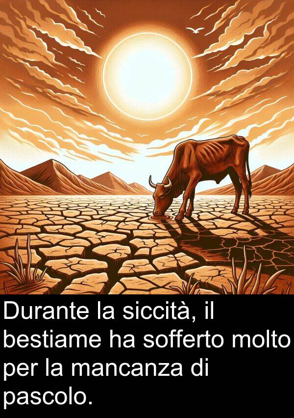 pascolo: Durante la siccità, il bestiame ha sofferto molto per la mancanza di pascolo.
