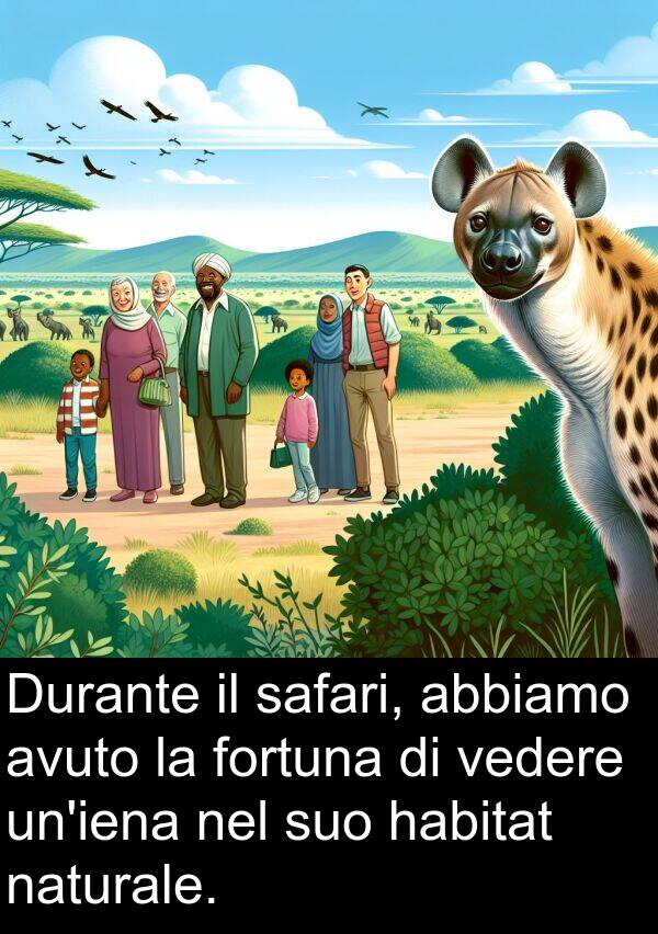 safari: Durante il safari, abbiamo avuto la fortuna di vedere un'iena nel suo habitat naturale.