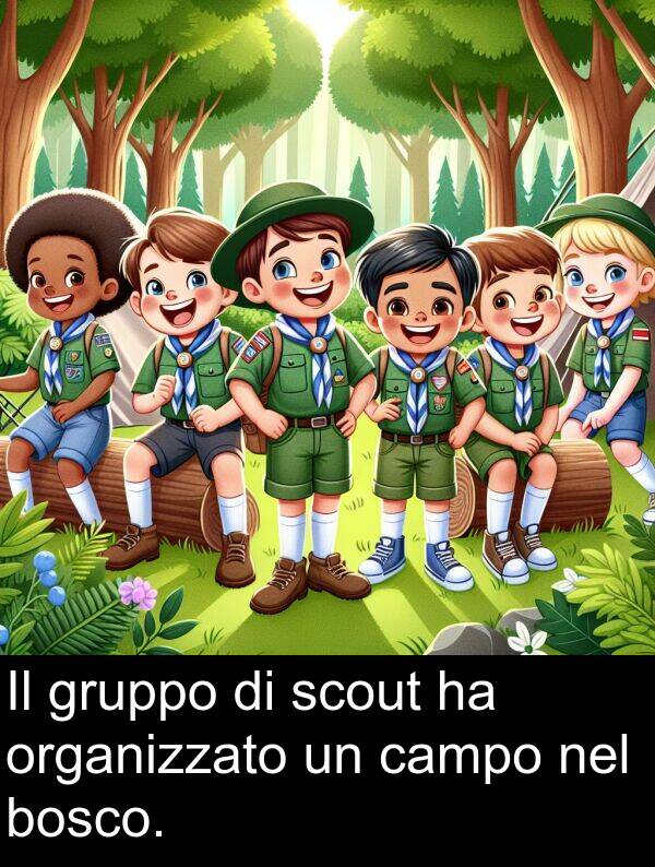 campo: Il gruppo di scout ha organizzato un campo nel bosco.