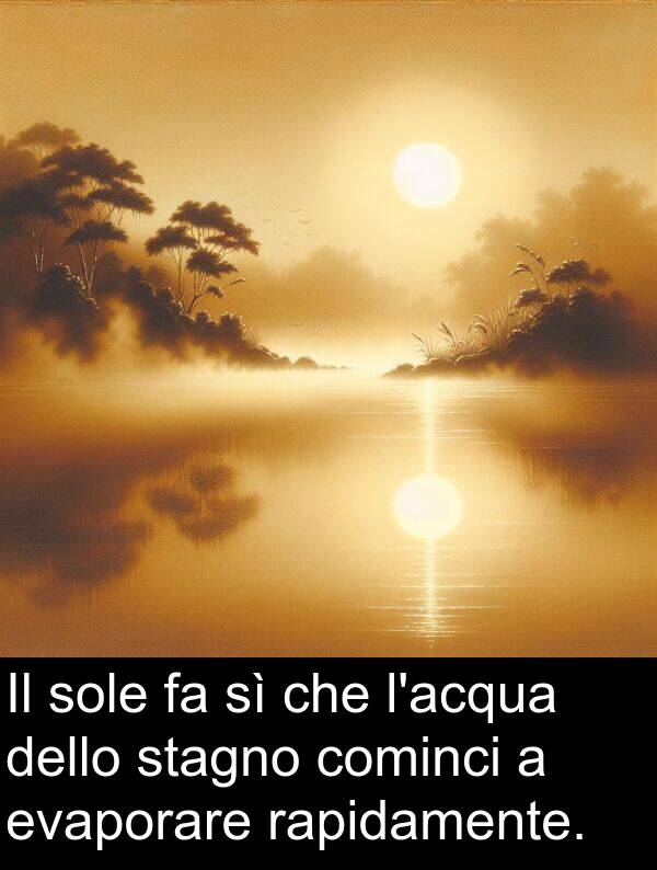 rapidamente: Il sole fa sì che l'acqua dello stagno cominci a evaporare rapidamente.